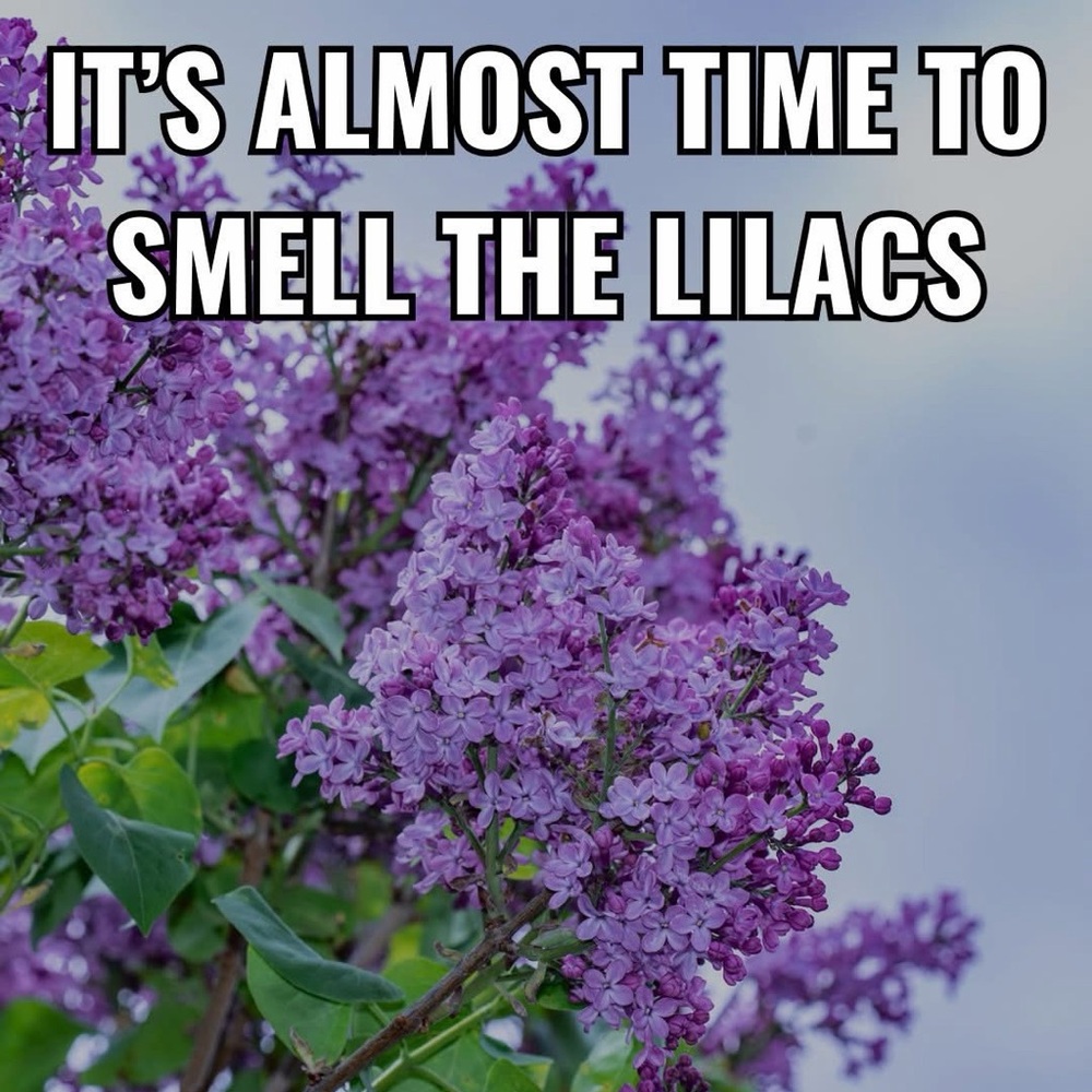 Meet your Posher, Diana